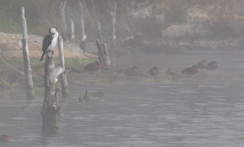 mist and waders.jpg